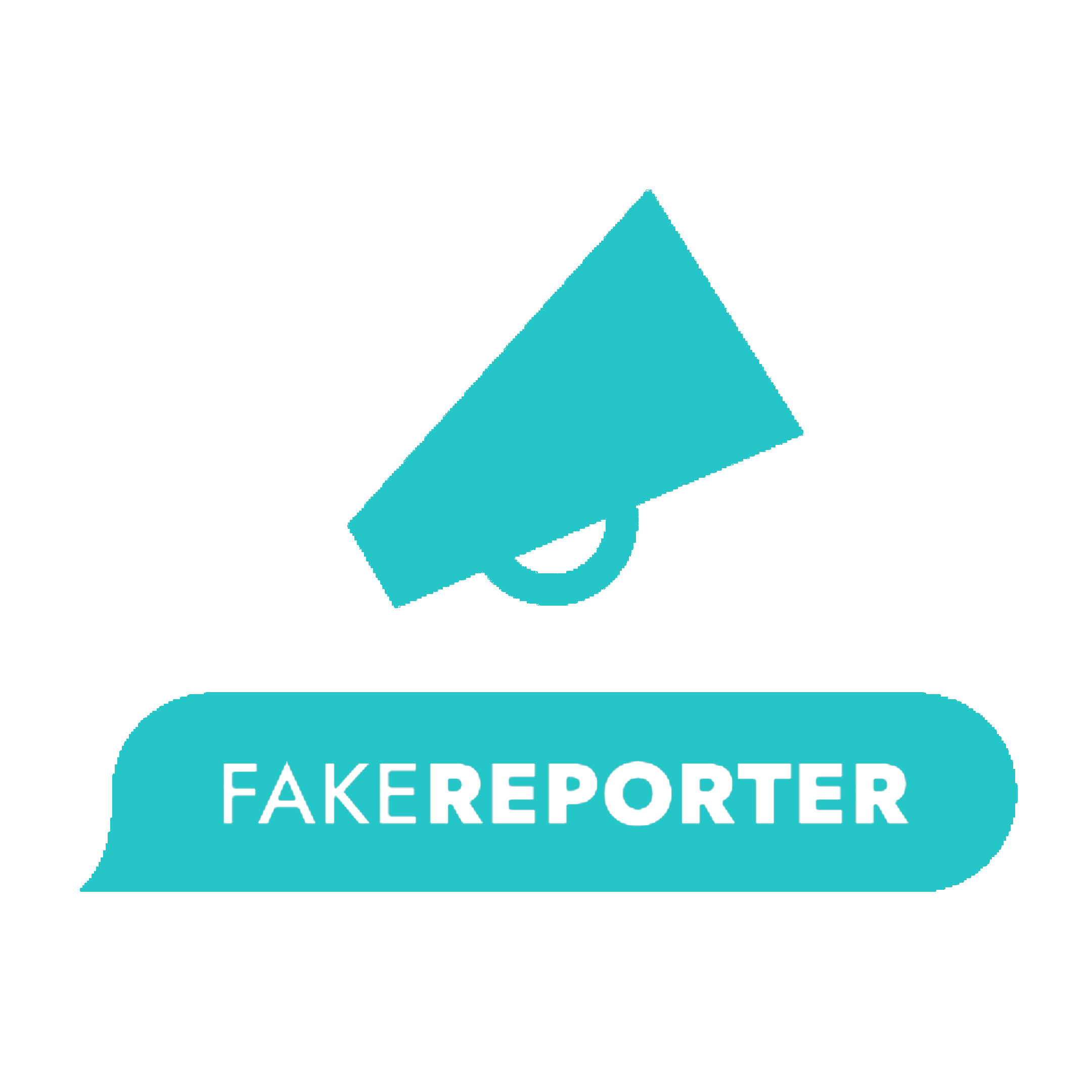 fake reporter