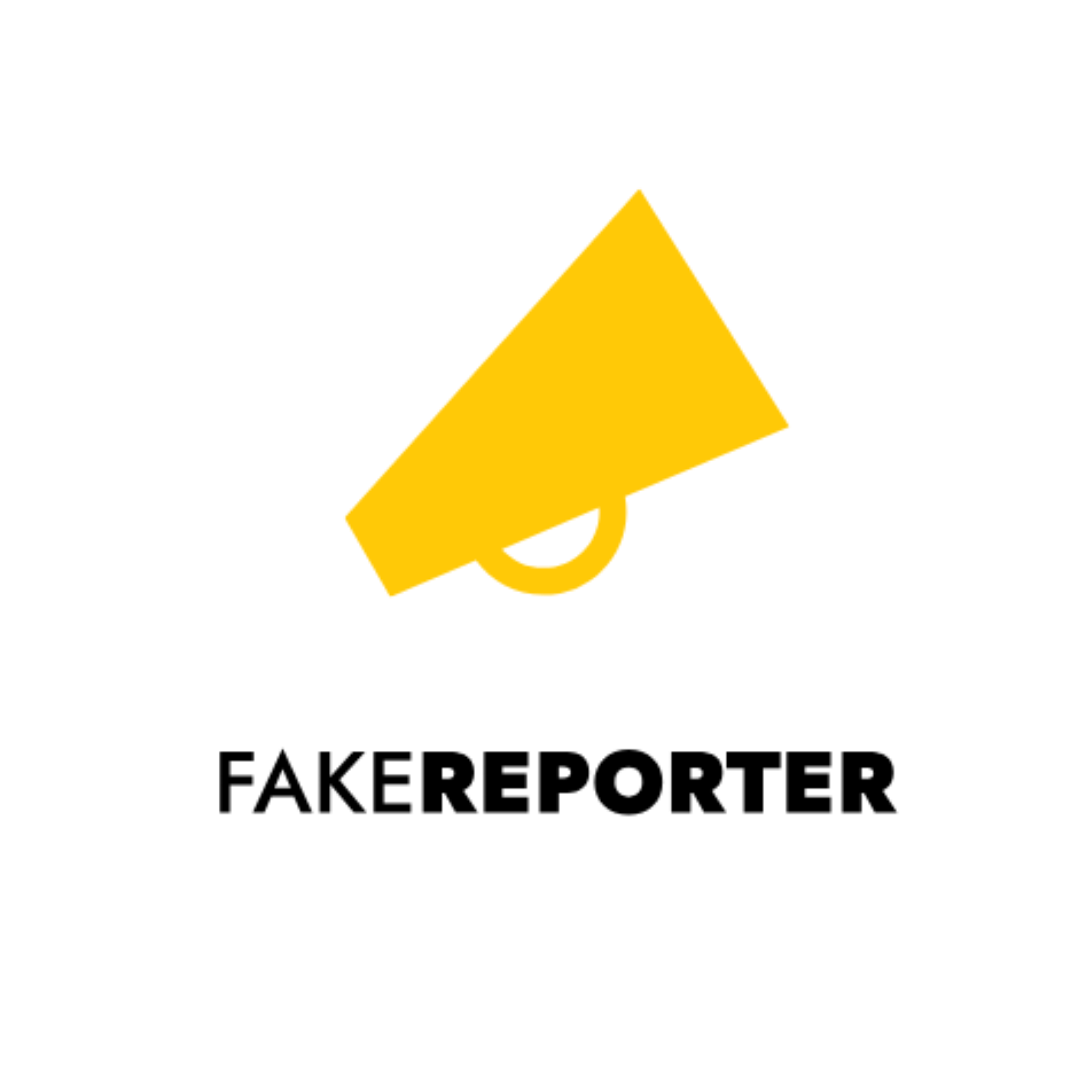 fake reporter