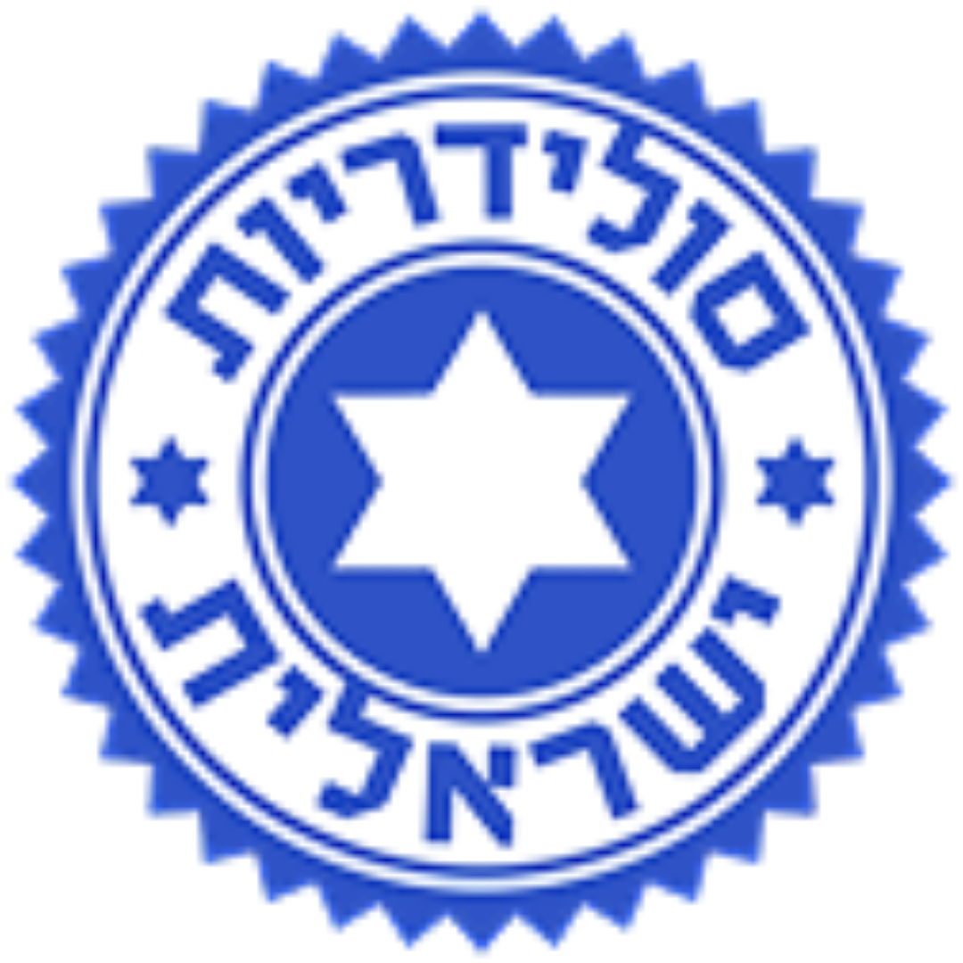 סולידריות ישראלית